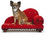 Arm Chaise Red with Bees