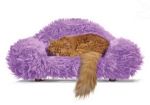 Beetle Pet Sofa Lilac