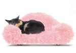 Beetle Pet Sofa Rose