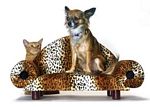 Cheetah Loveseat