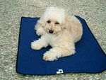 Thermal Barrier Warming Pet Mat