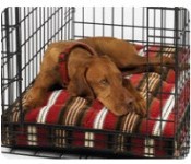 CRATE MATTRESSES
