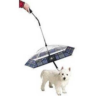 Pet Umbrella