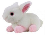 Boingo Bunny Animal Talkers