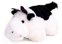 Cow Animal Talkers