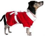 Diva Claus Holiday Dog Dress