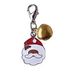 Holiday Charms