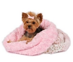 Blankets & Beds