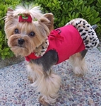 Winter Coats