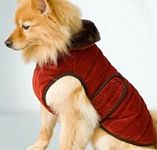 Burgundy Quilted Velvet Coat 