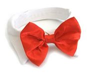 NECKTIES & BOW TIES