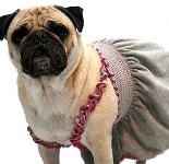 Uptown Girl, Grey