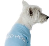 Bed Hog - Lt Blue Tank or Tee