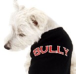 Bully - Black Tank or Tee