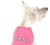 Bully - Pink Tank or Tee