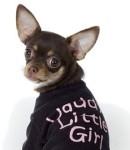 Daddy's Lil Girl - Black Tank or Tee