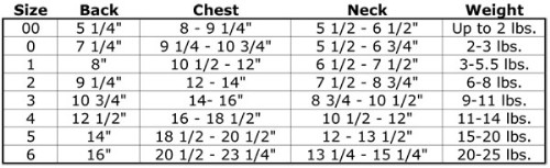 http://www.theritzyrover.com/productimages/clothing/costumes/size%20%20chart.jpg