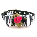 Jazzy Zebra Collar