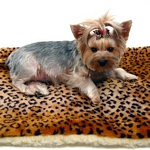 Leopard Faux Fur