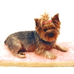 Pink Shearling