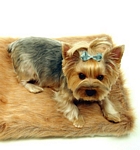 Squirrel Faux Fur