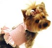 HARNESS VEST & DRESSES