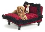 Celebrity Chaise