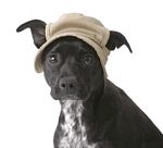Crusher Hat