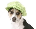 D Lo Hat