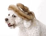 High Fashion Faux Fur Hat