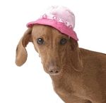 Peace Love and Fire Hydrants Hat Pink