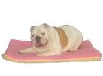 Pink Crate Mat